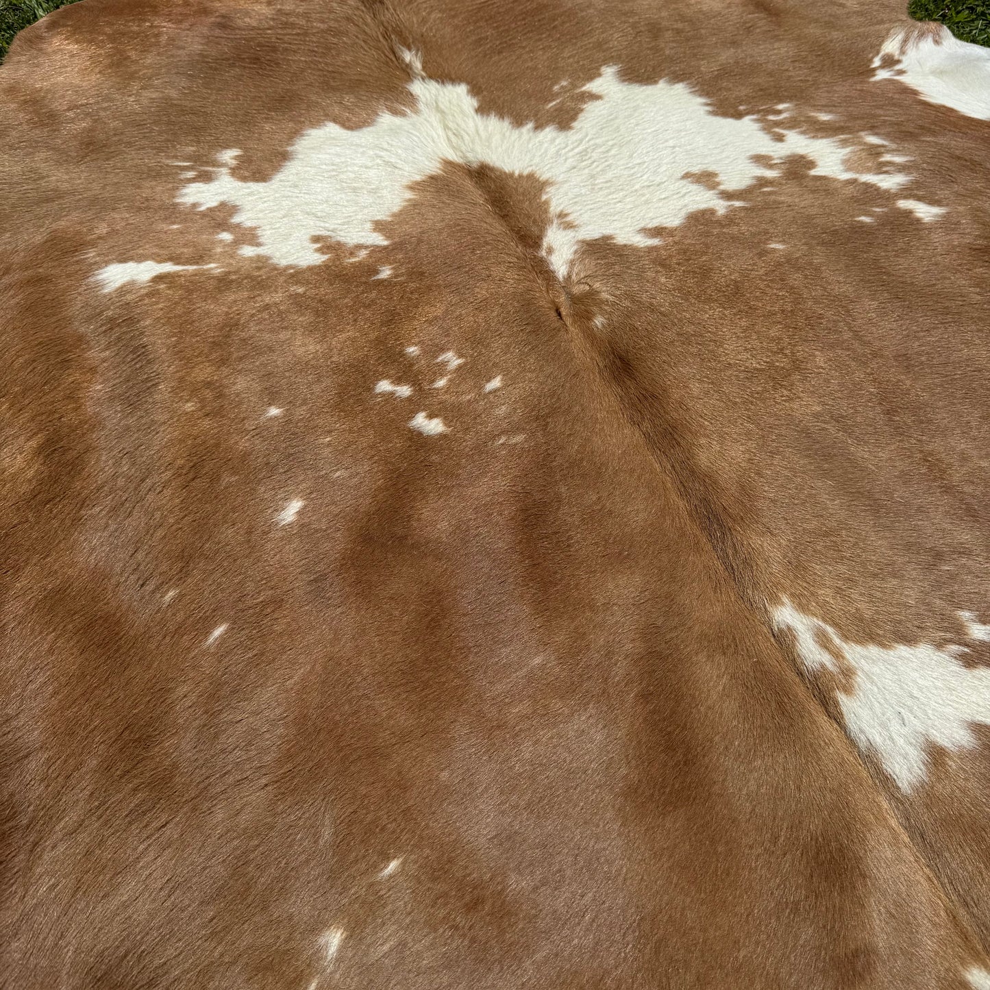 Premium Cowhide Rug 00010