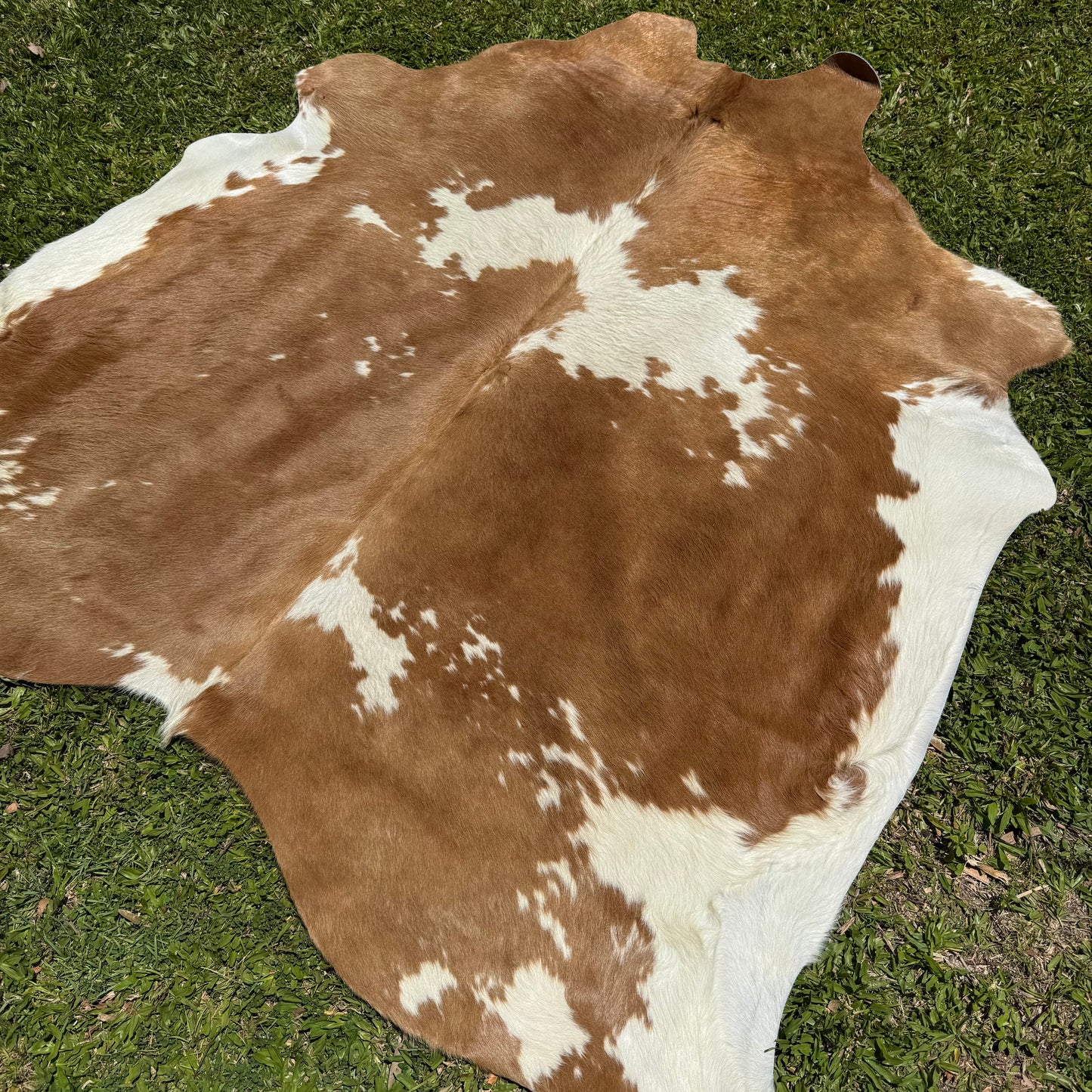 Premium Cowhide Rug 00010