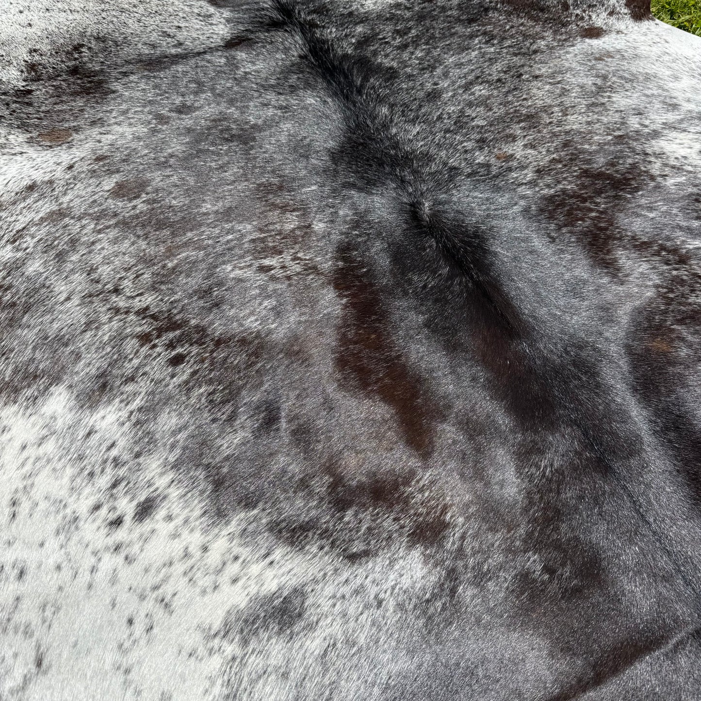 Premium Cowhide Rug 00014
