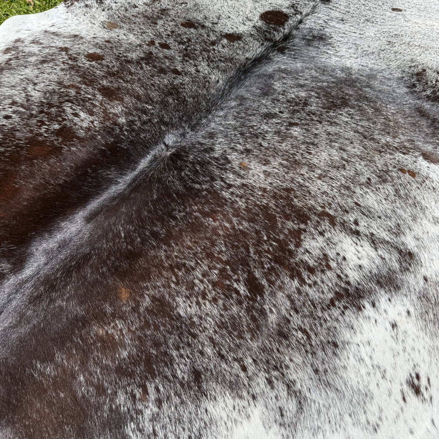 Premium Cowhide Rug 00014