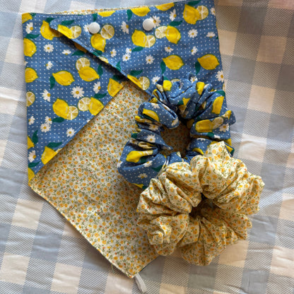 Scrunchie/ Neck Scarf Set