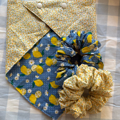 Scrunchie/ Neck Scarf Set