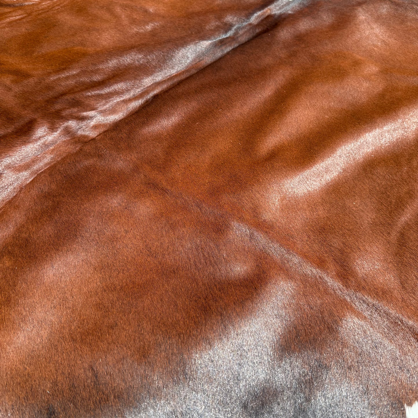 Large Premium Cowhide Floor Rug 22