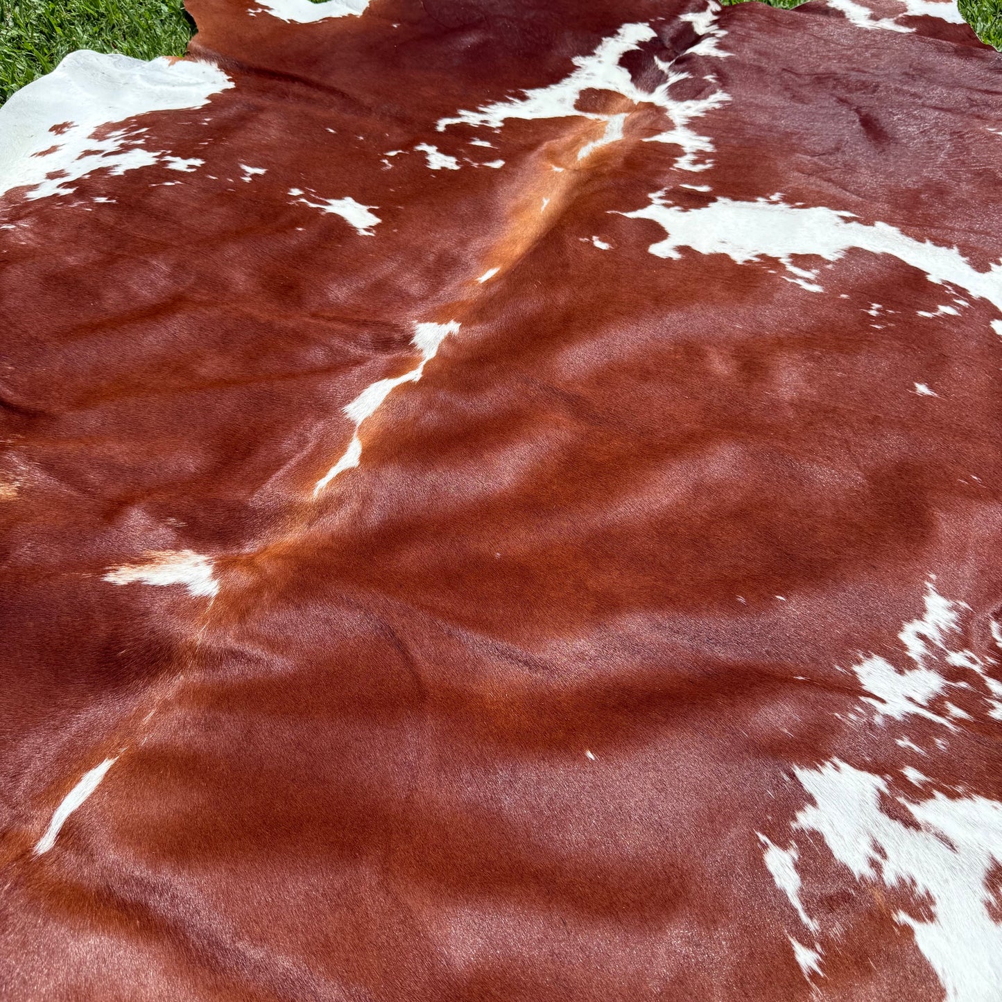 XLarge Premium Cowhide Floor Rug 25