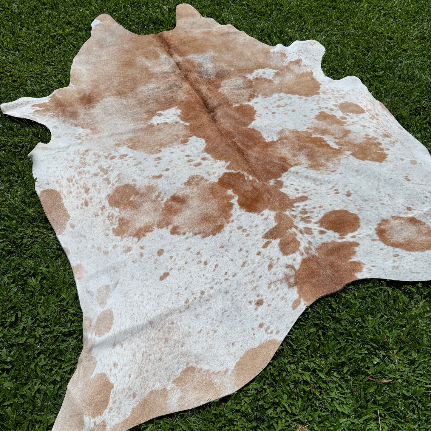 XLarge Premium Cowhide Floor Rug 26
