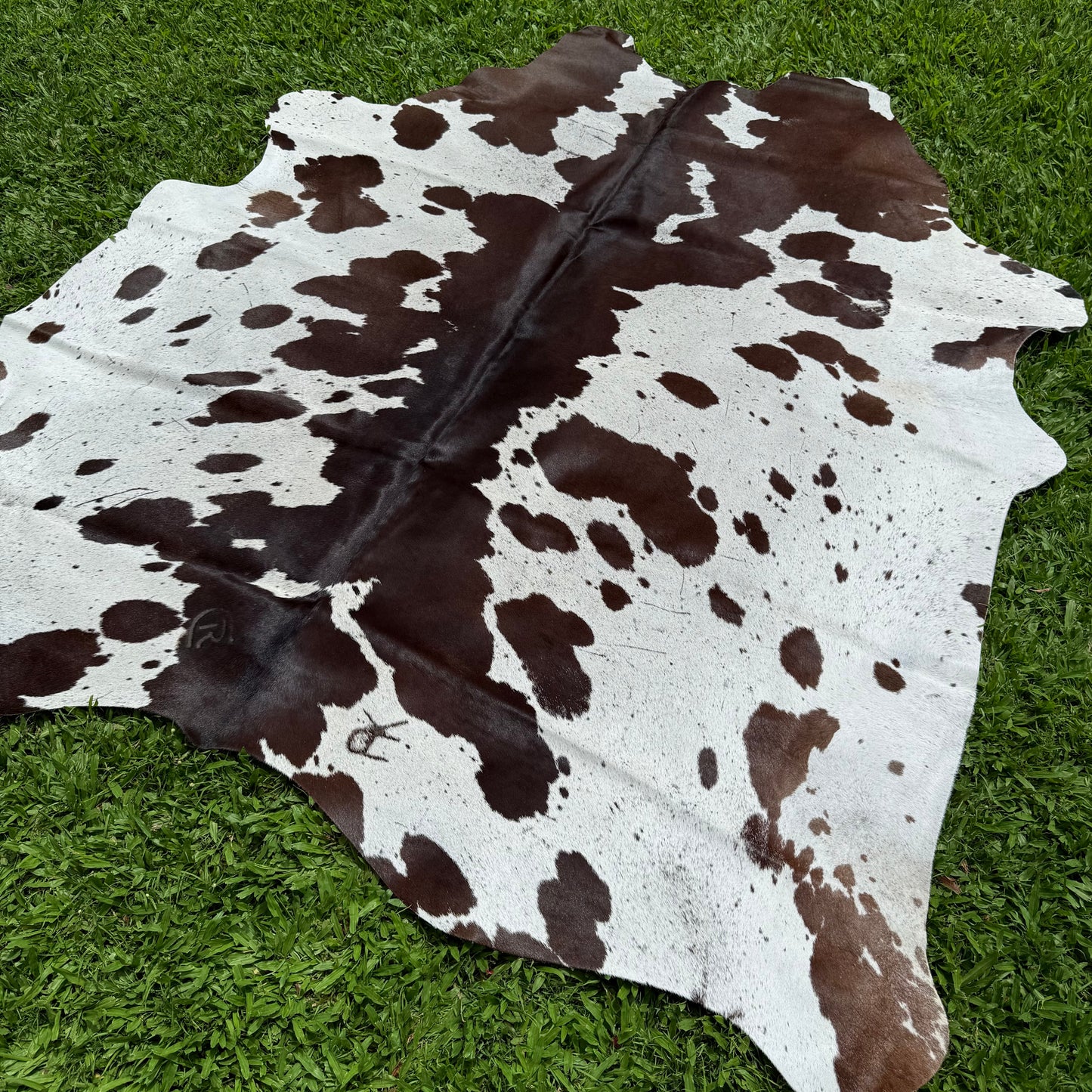 Large Premium Cowhide Floor Rug 28