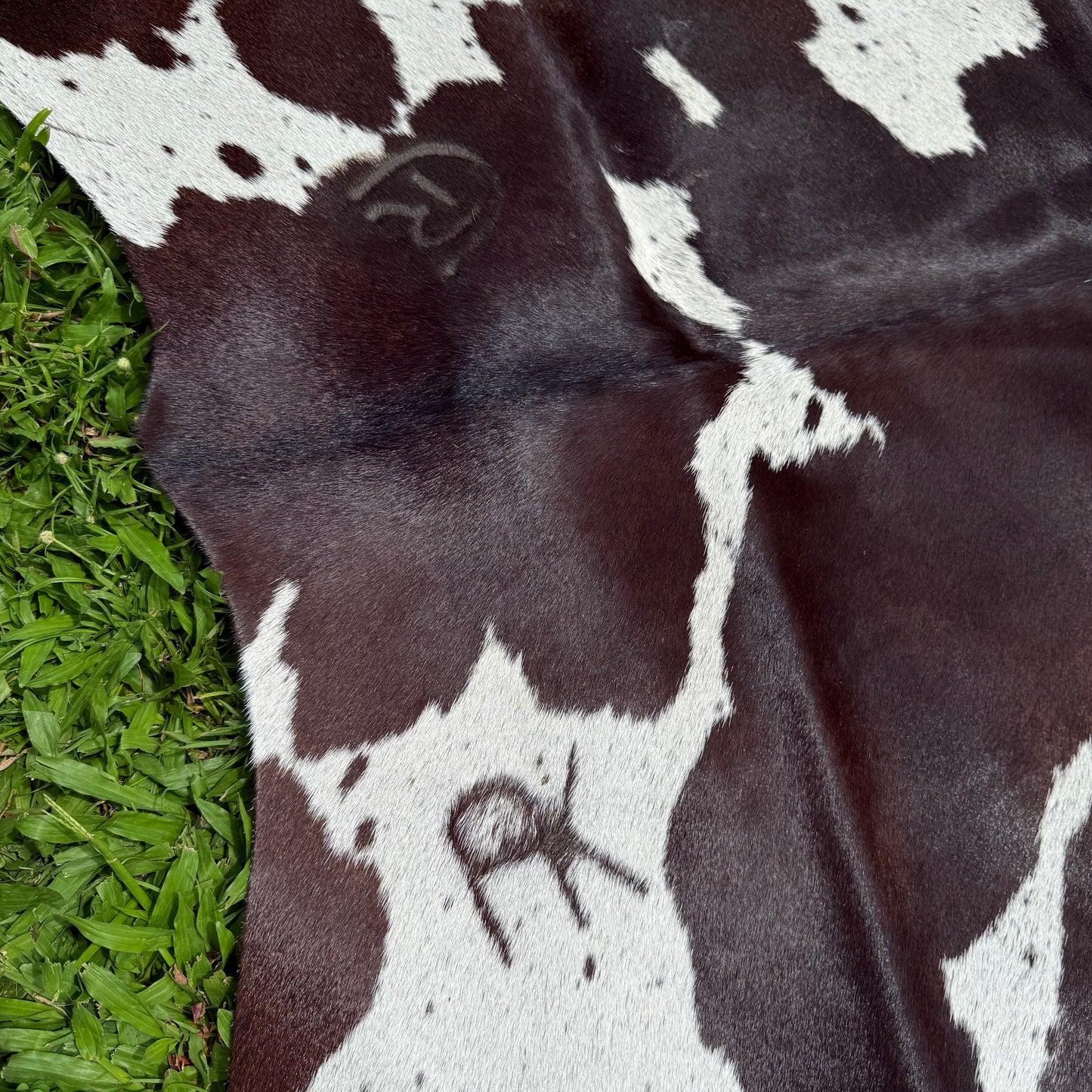 Large Premium Cowhide Floor Rug 28