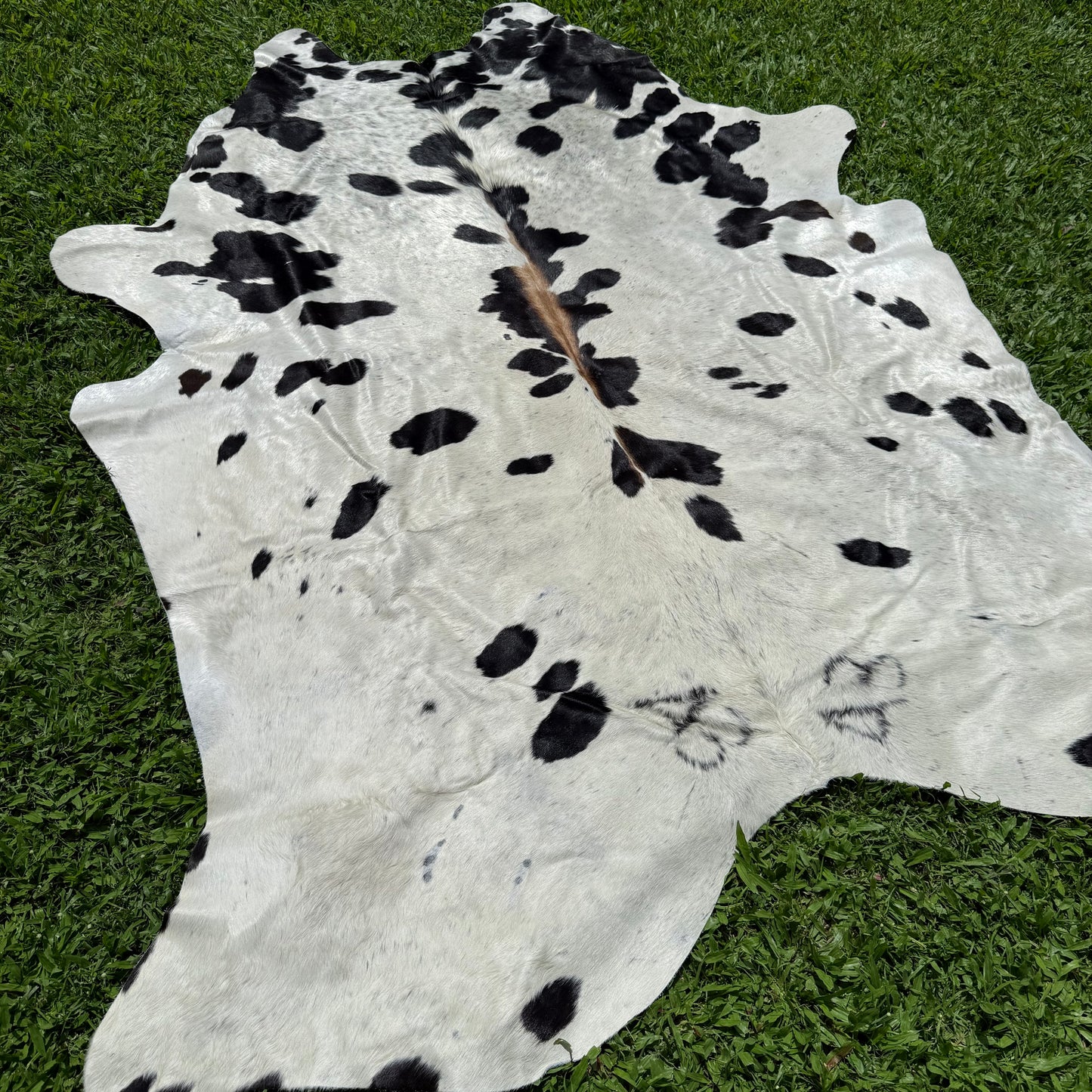 Large second grade Cowhide Floor Rug 30