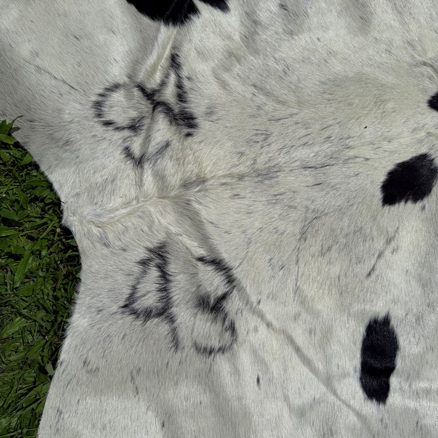 Large second grade Cowhide Floor Rug 30