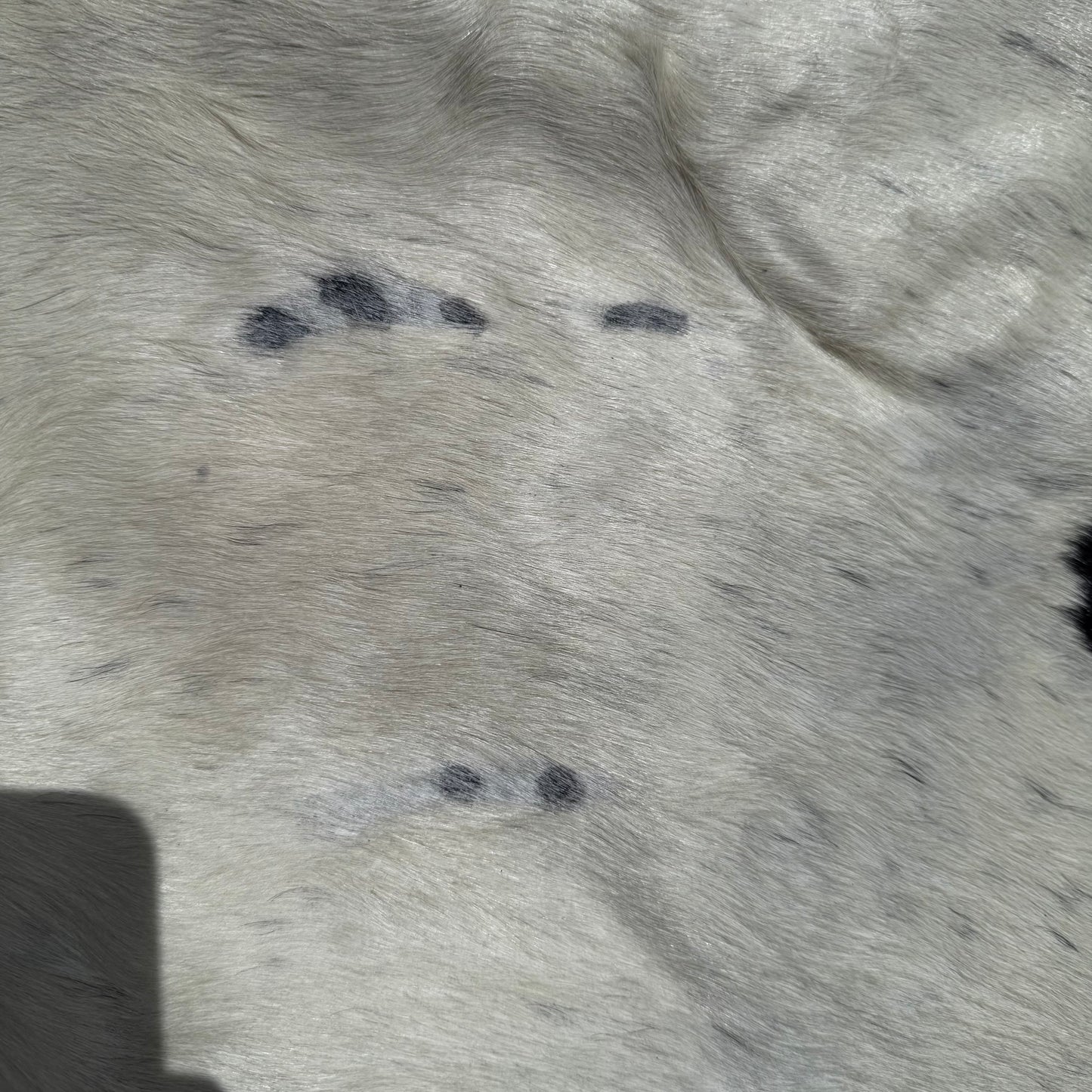 Large second grade Cowhide Floor Rug 30