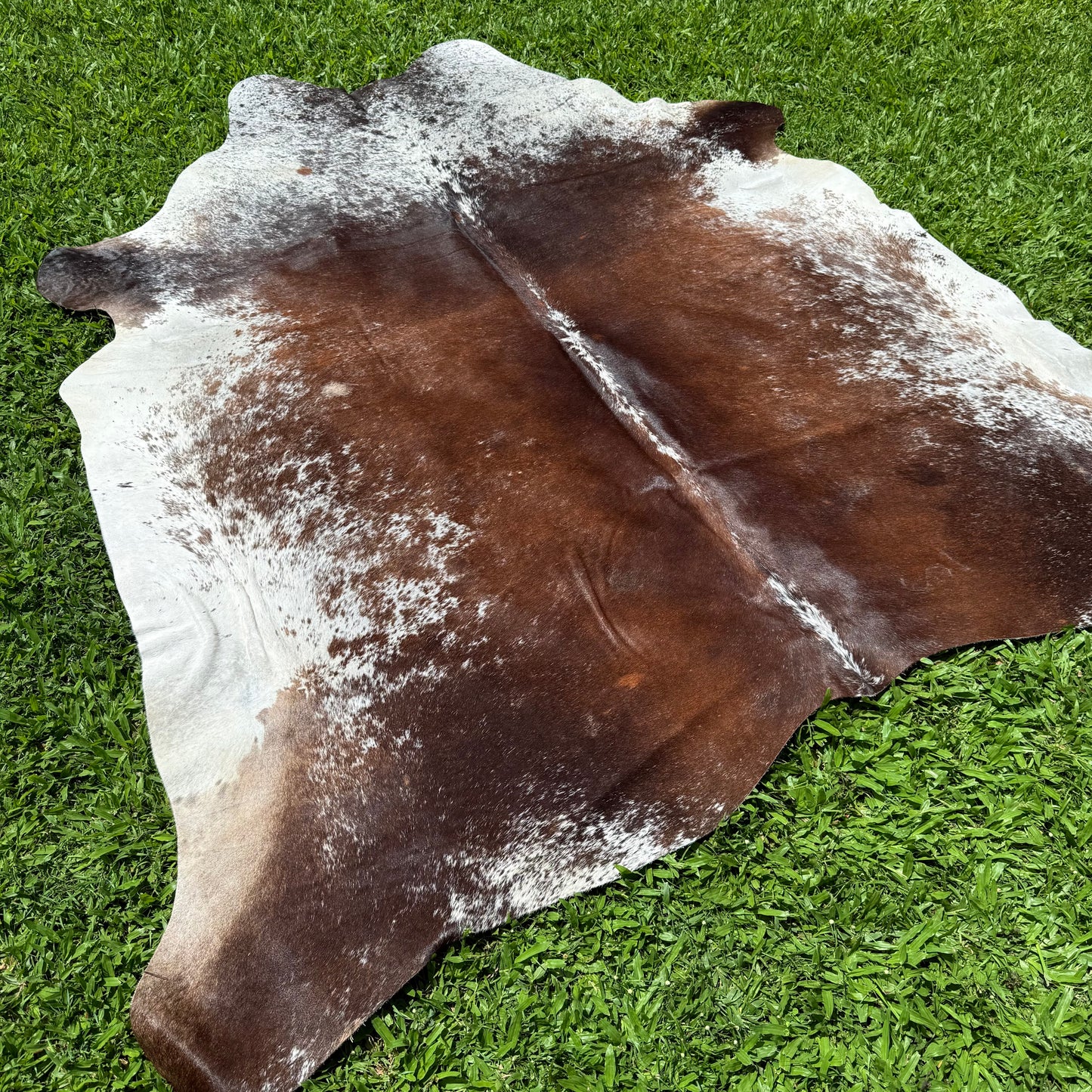 Large Premium Cowhide Floor Rug 34