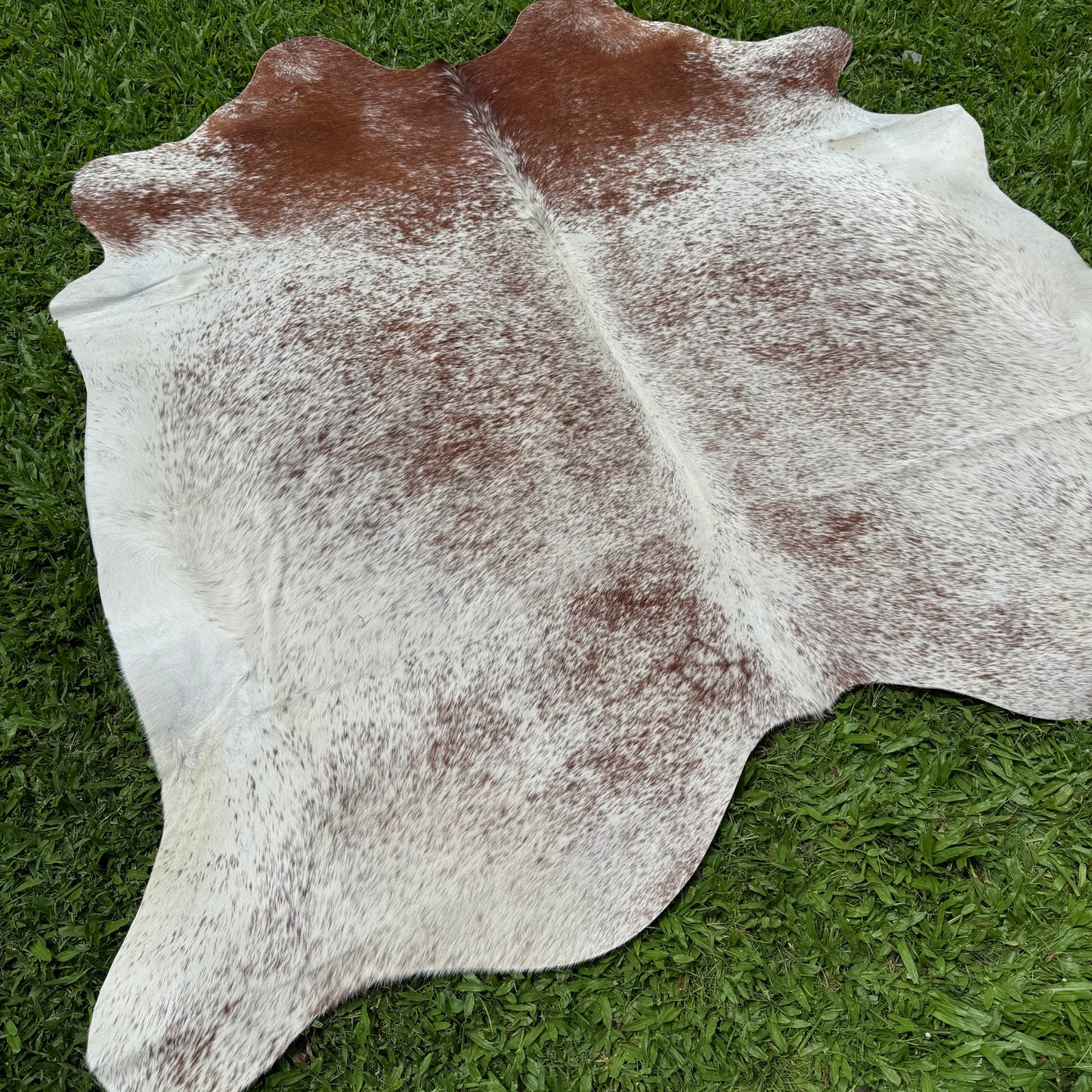 Small Premium Cowhide Floor Rug 38