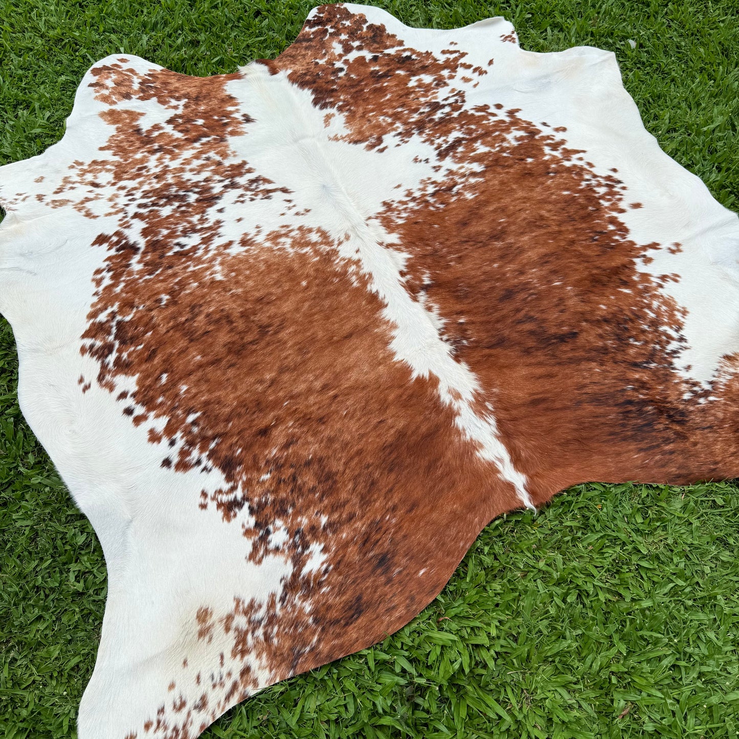 Small Premium Cowhide Floor Rug 39