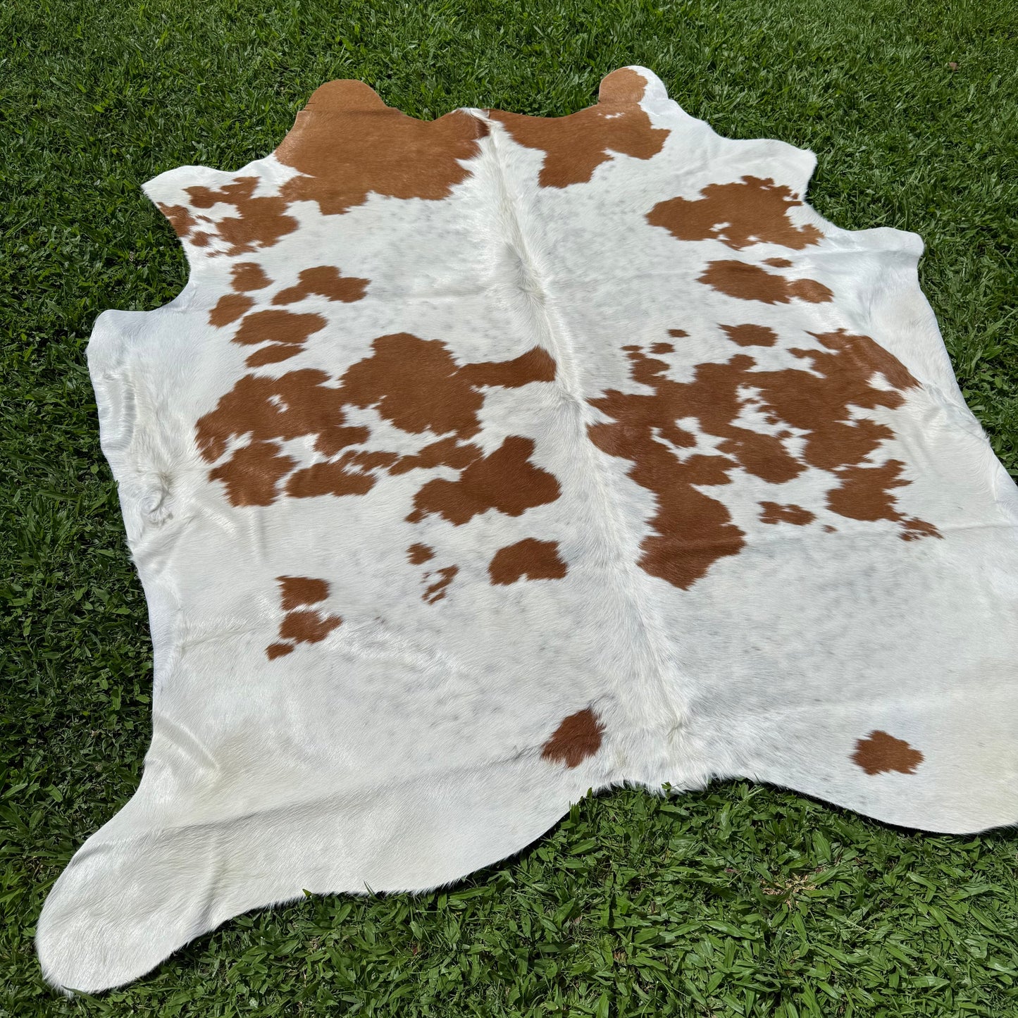 Small Premium Cowhide Floor Rug 44