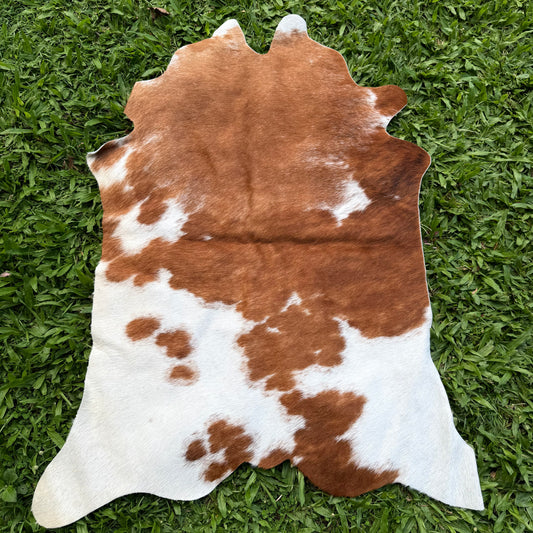 Mini Cowhide 3