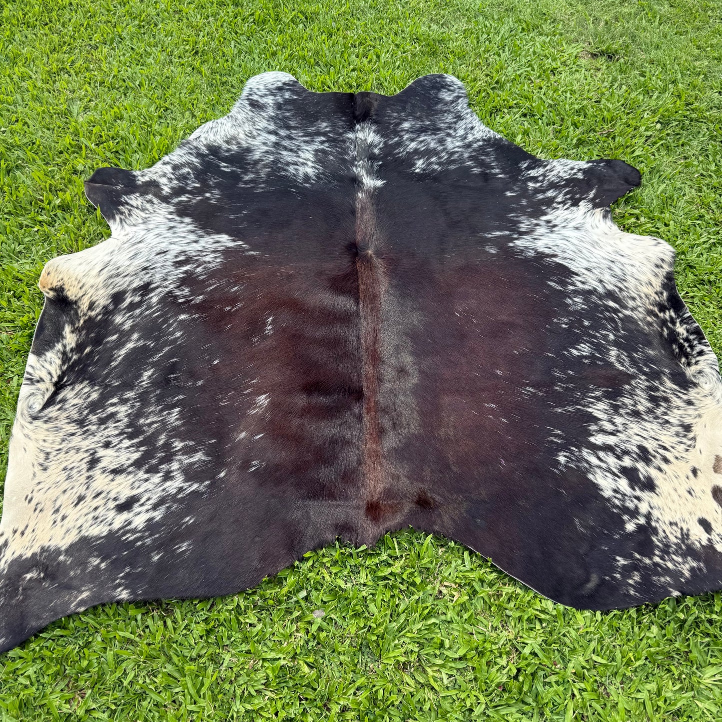 SP/BR Cowhide Rug 2