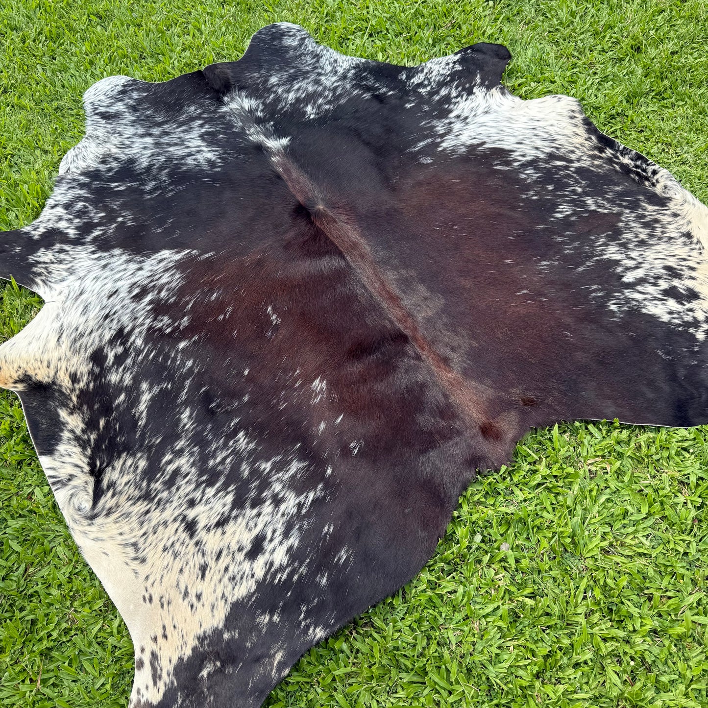 SP/BR Cowhide Rug 2