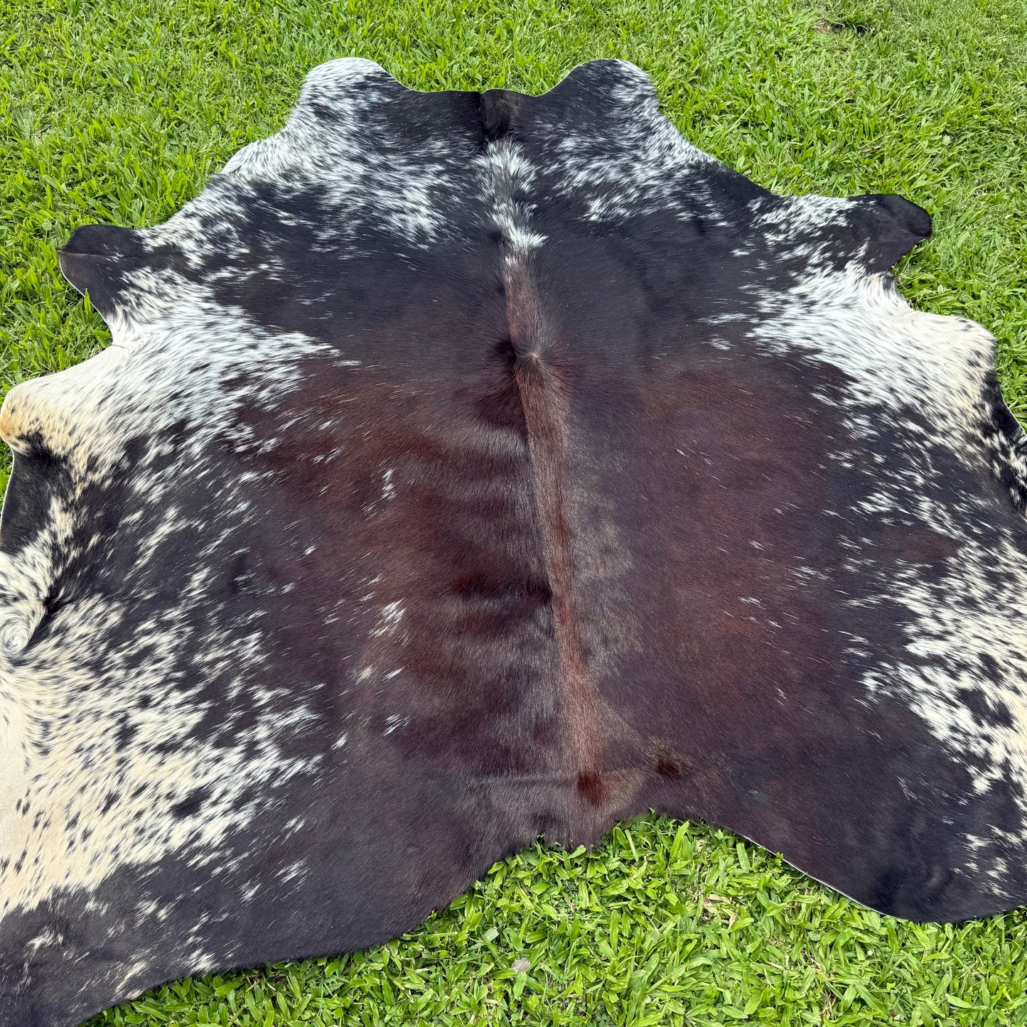 SP/BR Cowhide Rug 2