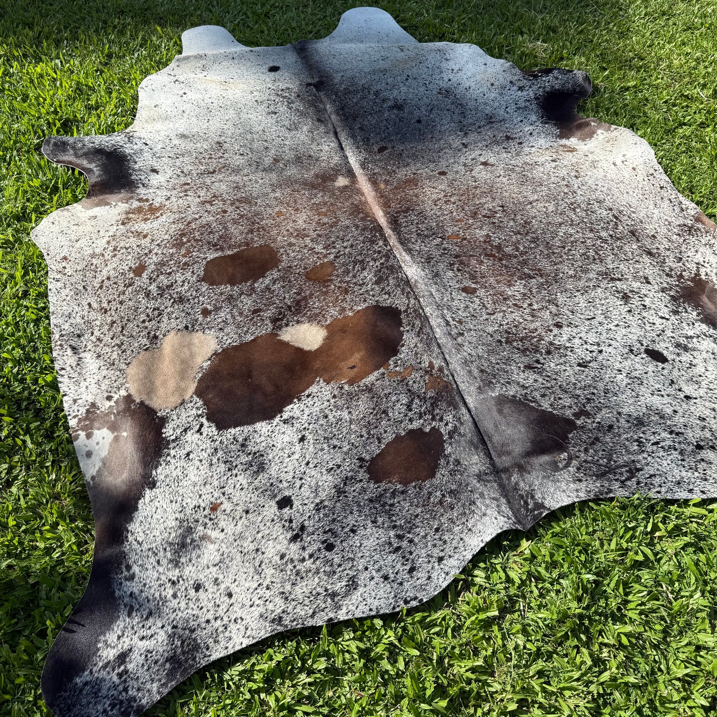 SP/BR Cowhide Rug 3