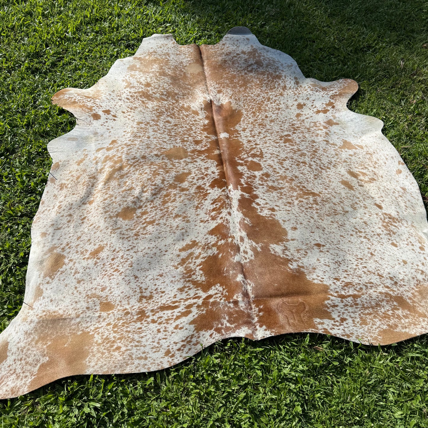 SP/BR 5 Cowhide Rug