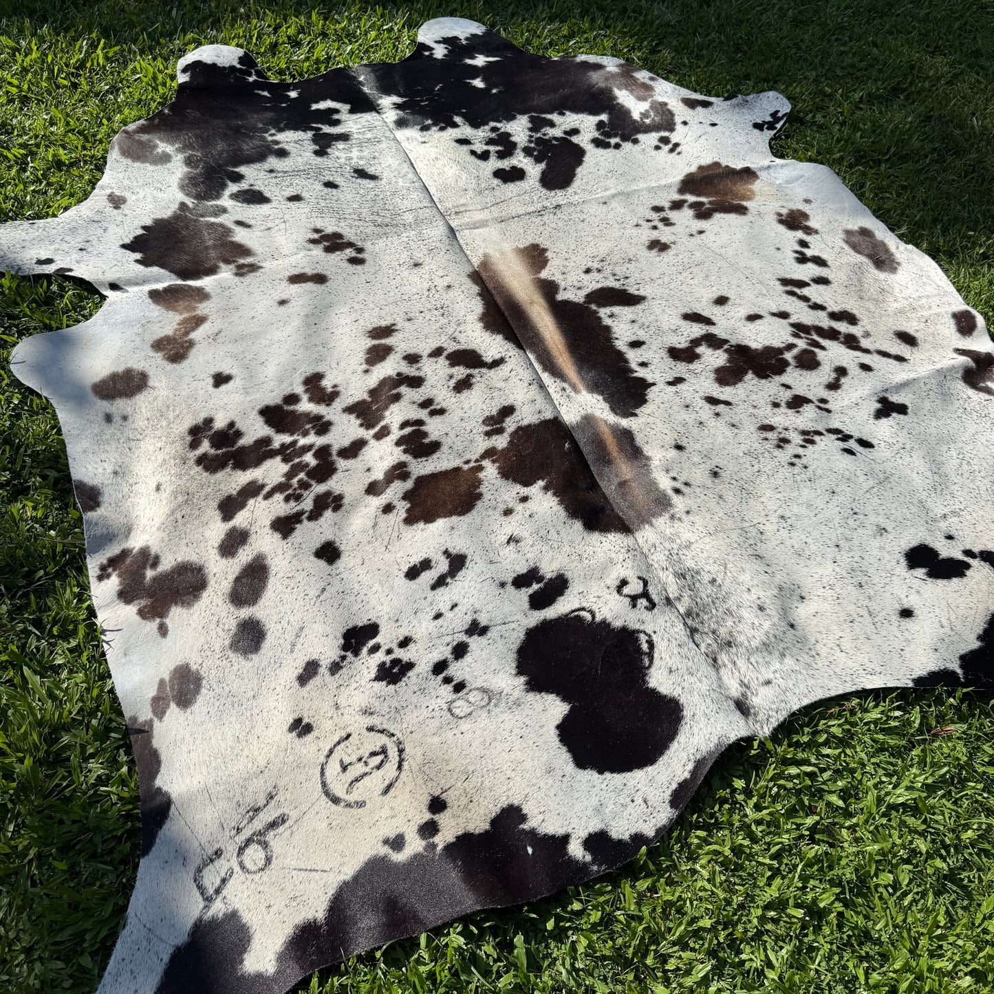 TRI 6 XL Cowhide Rug