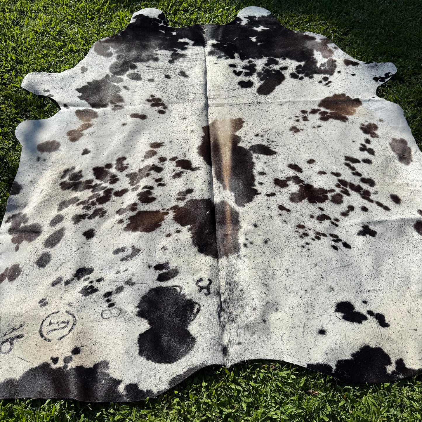 TRI 6 XL Cowhide Rug