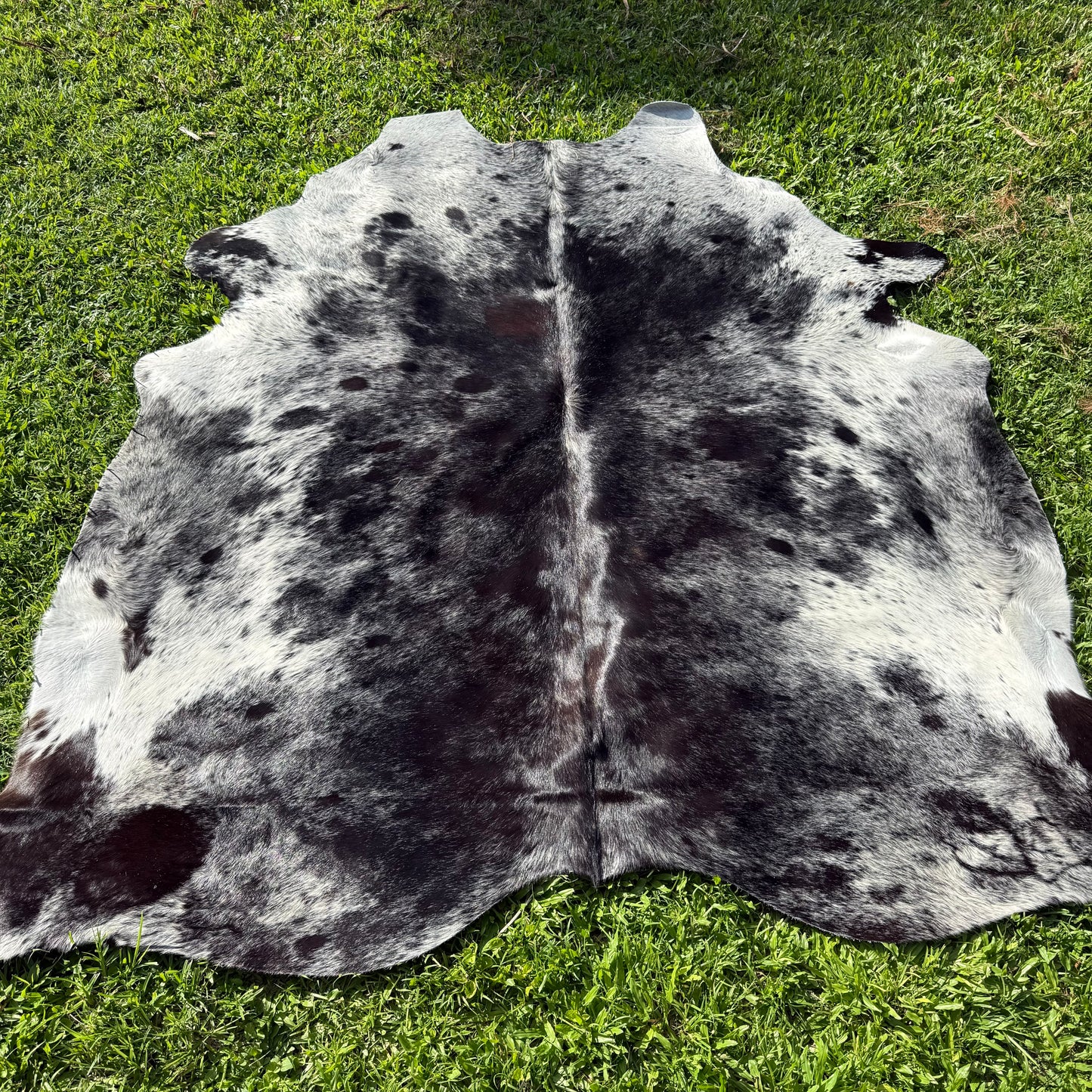 TRI 10 XL Cowhide Rug