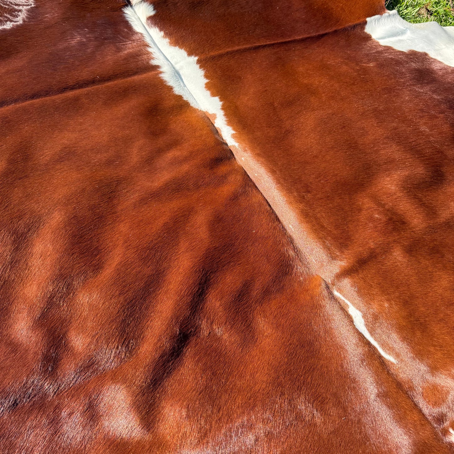 HEREFORD XL Cowhide Rug 11