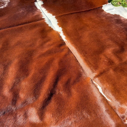 HEREFORD XL Cowhide Rug 11