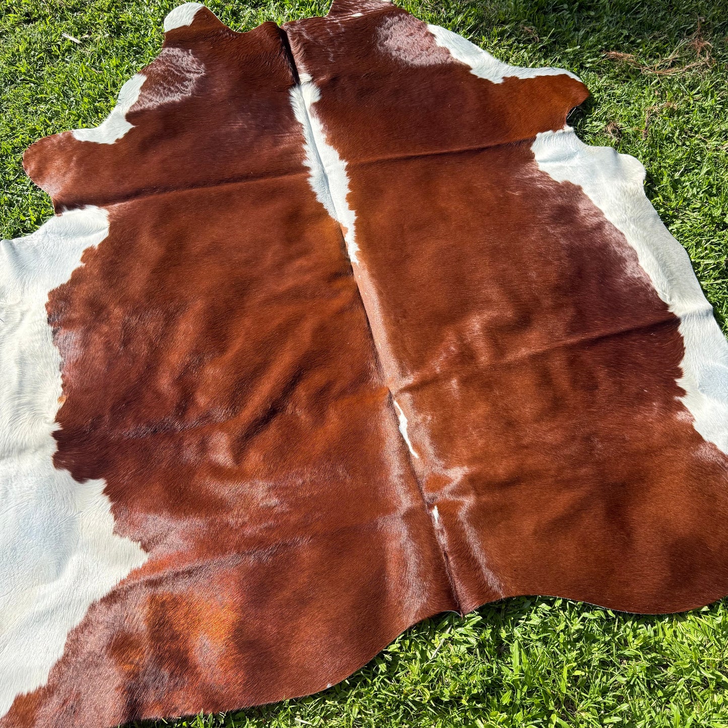 HEREFORD XL Cowhide Rug 11