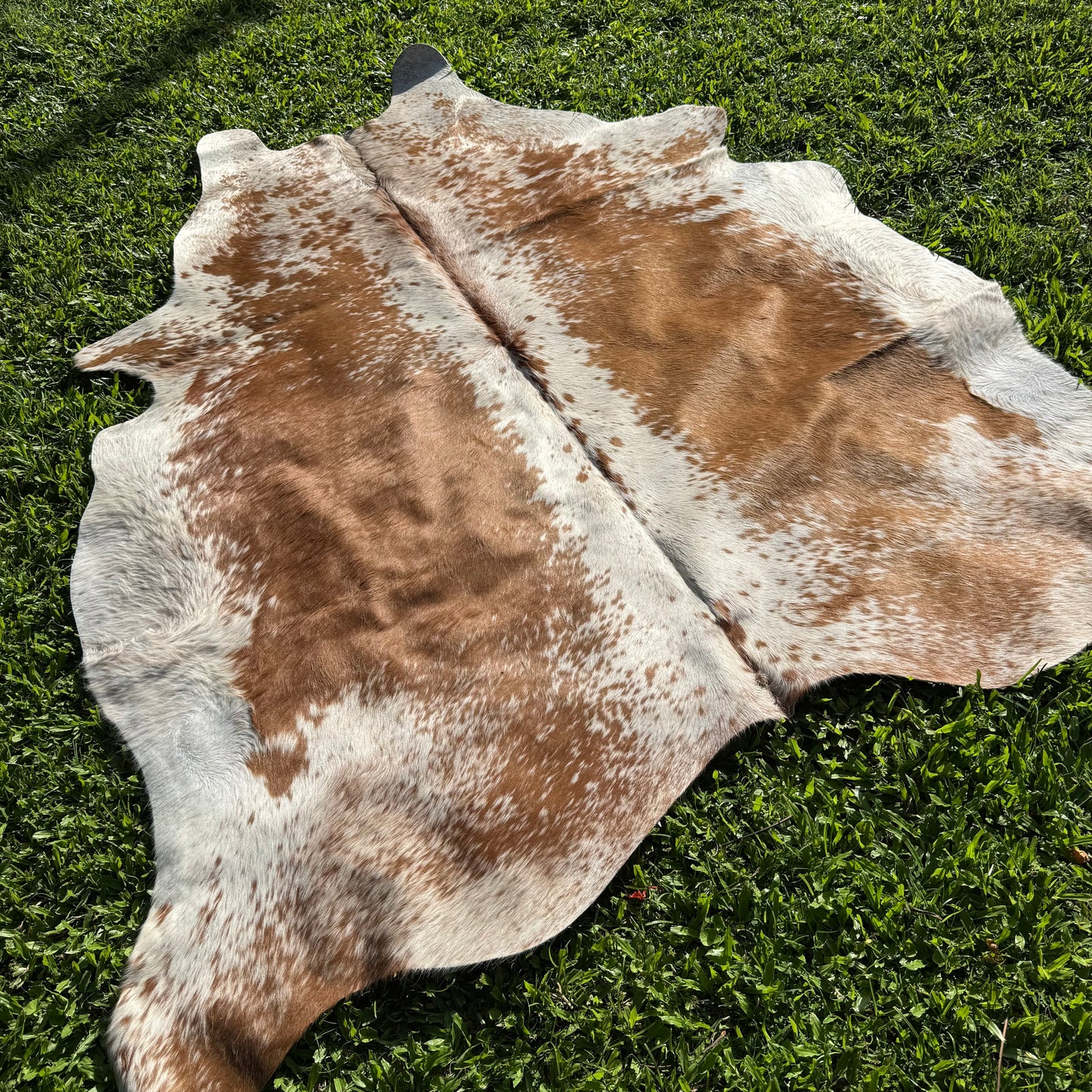 SP/BR Cowhide Rug 15