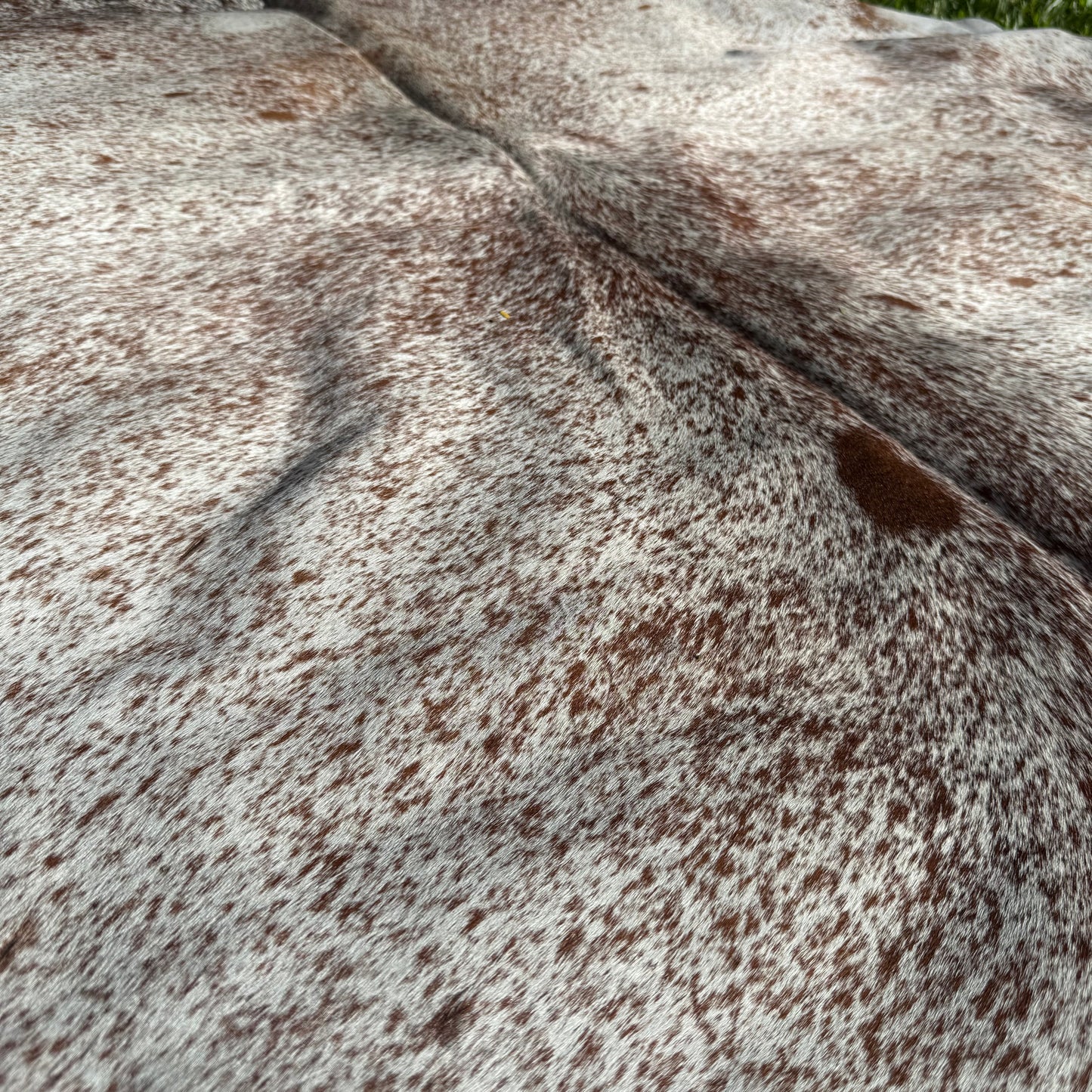 SP/BR Cowhide Rug 19