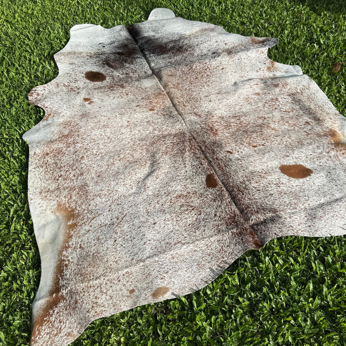 SP/BR Cowhide Rug 19