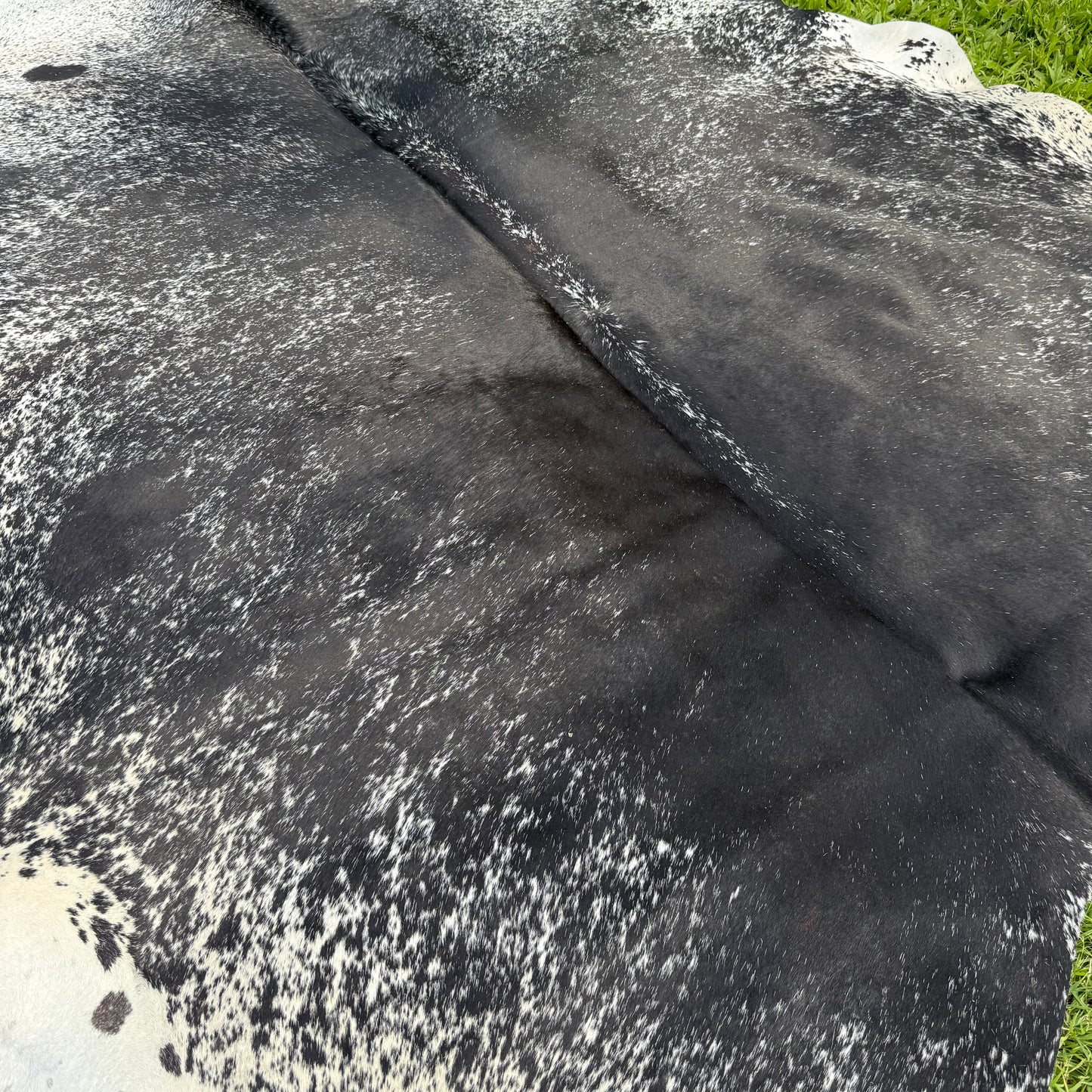 SP/BL XL Cowhide Rug 21