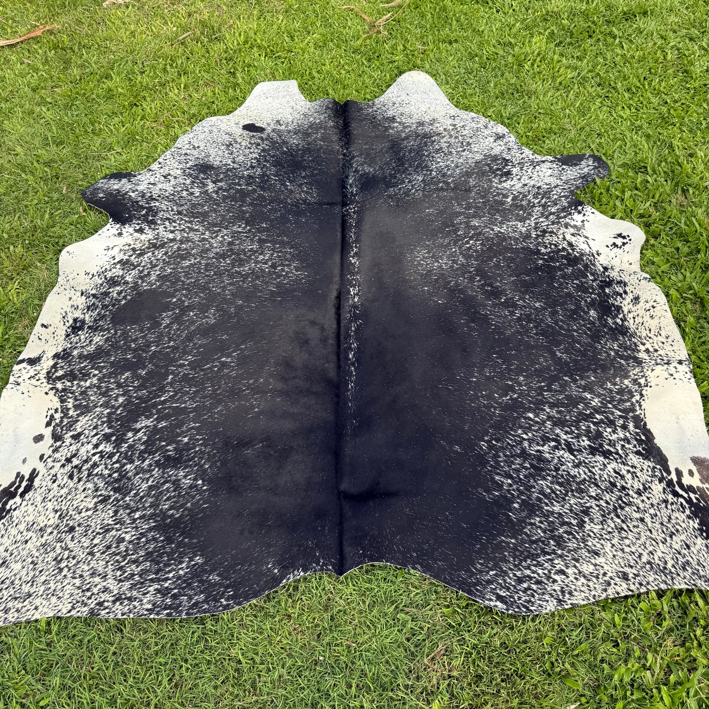 SP/BL XL Cowhide Rug 21