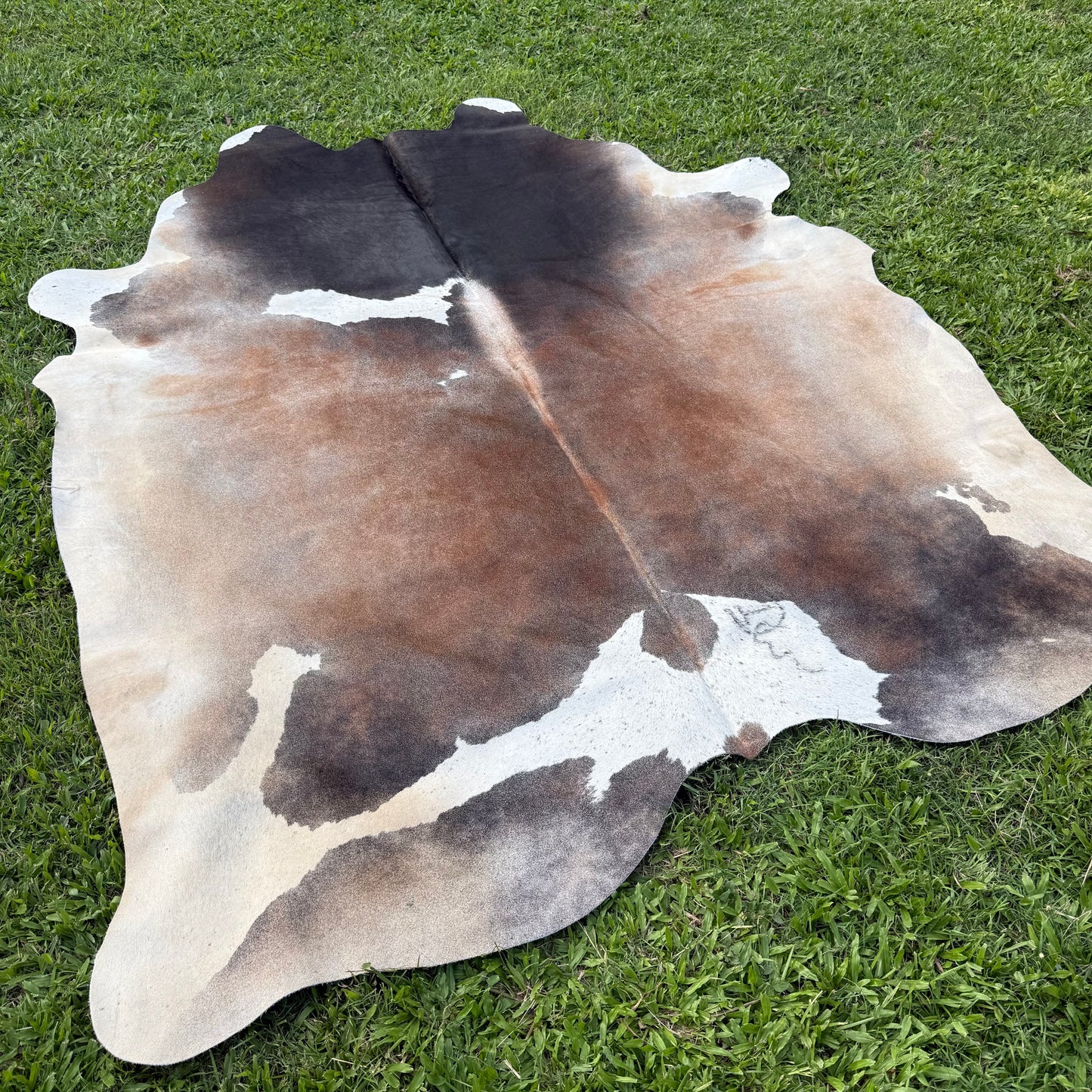Red XL Cowhide Rug 22