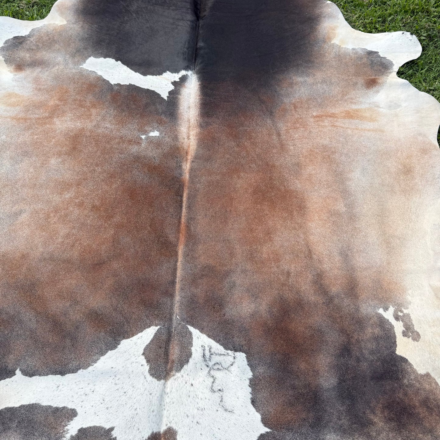 Red XL Cowhide Rug 22