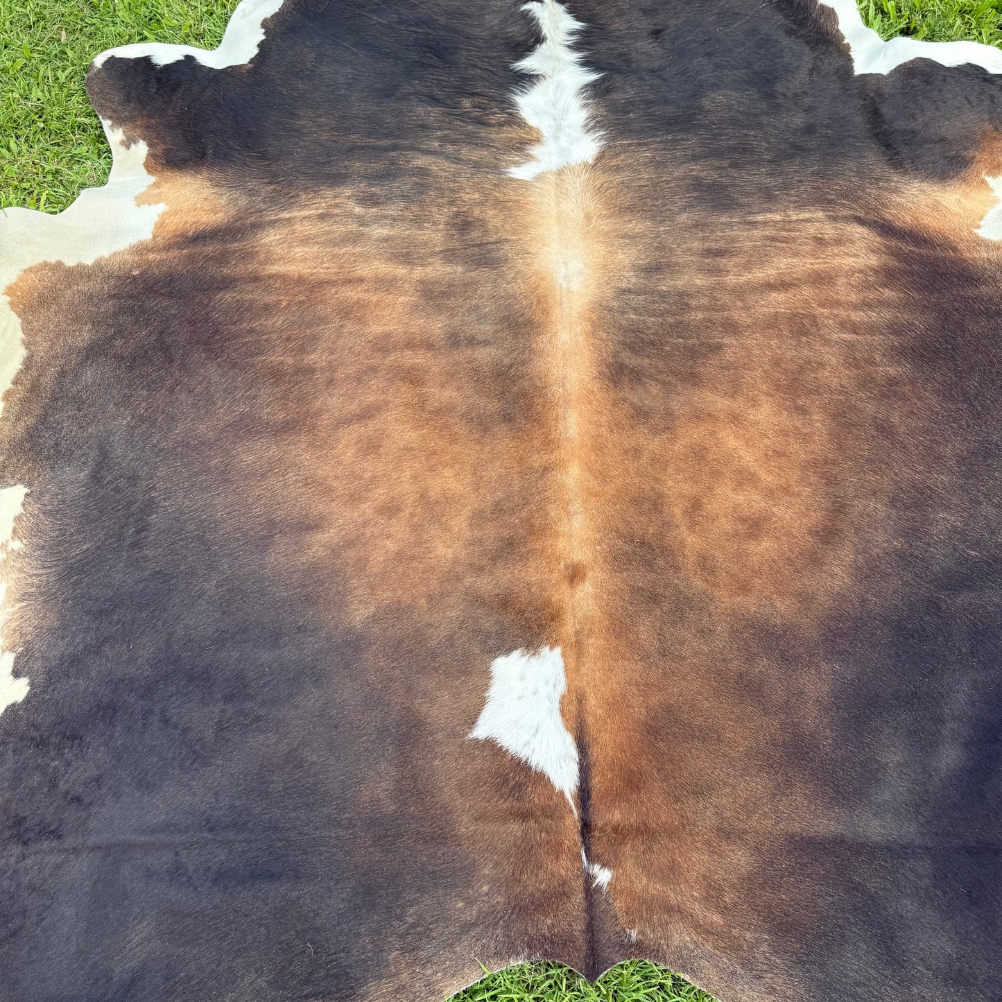 Red XL Cowhide Rug 23