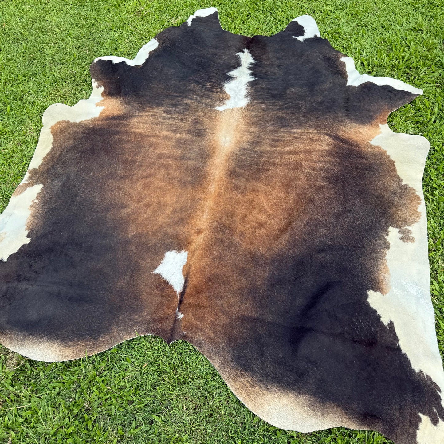 Red XL Cowhide Rug 23