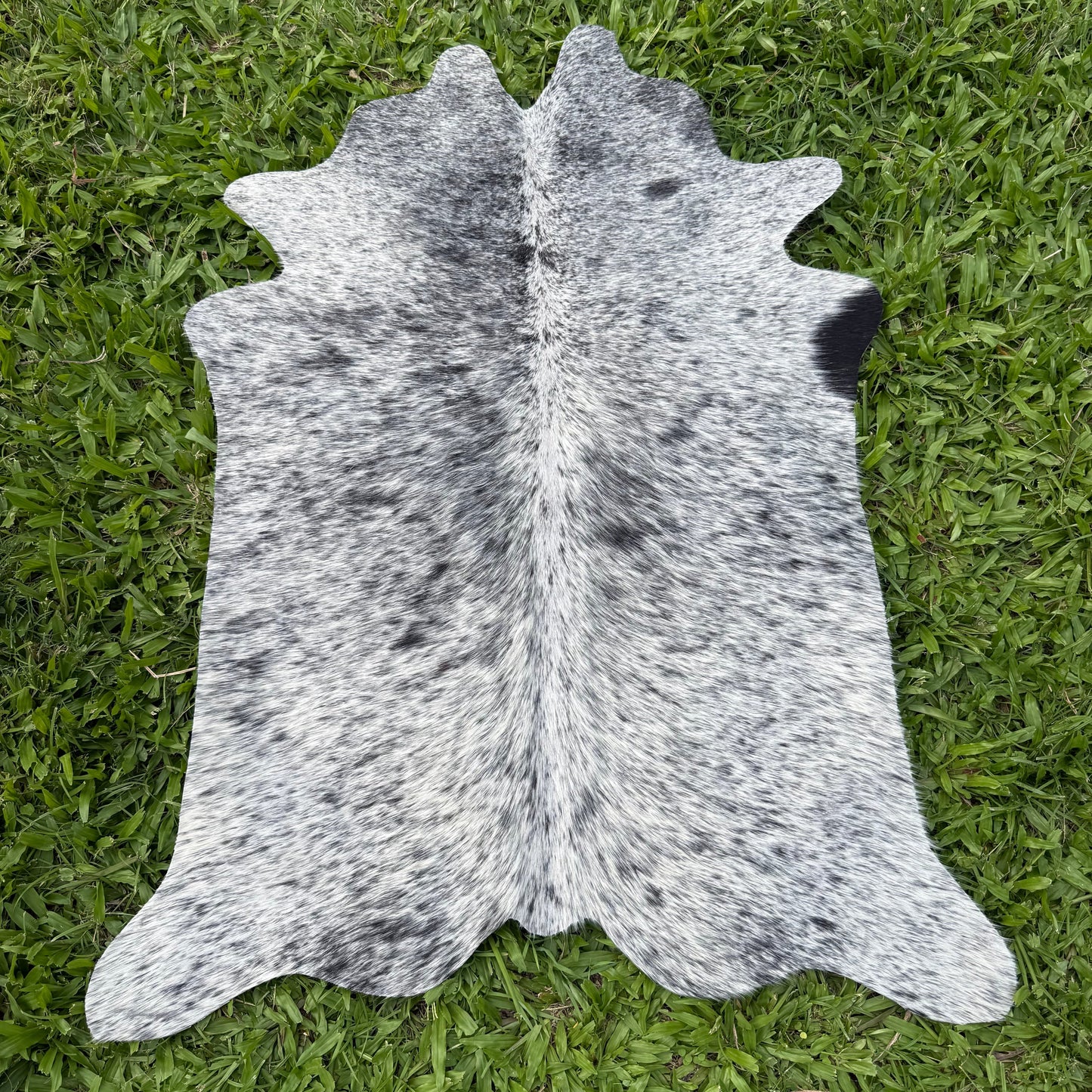 Mini Cowhide