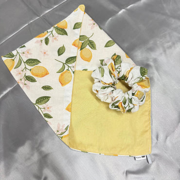 Scrunchie/ Neck Scarf Set