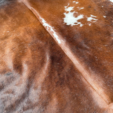 Premium Cowhide Rug 005