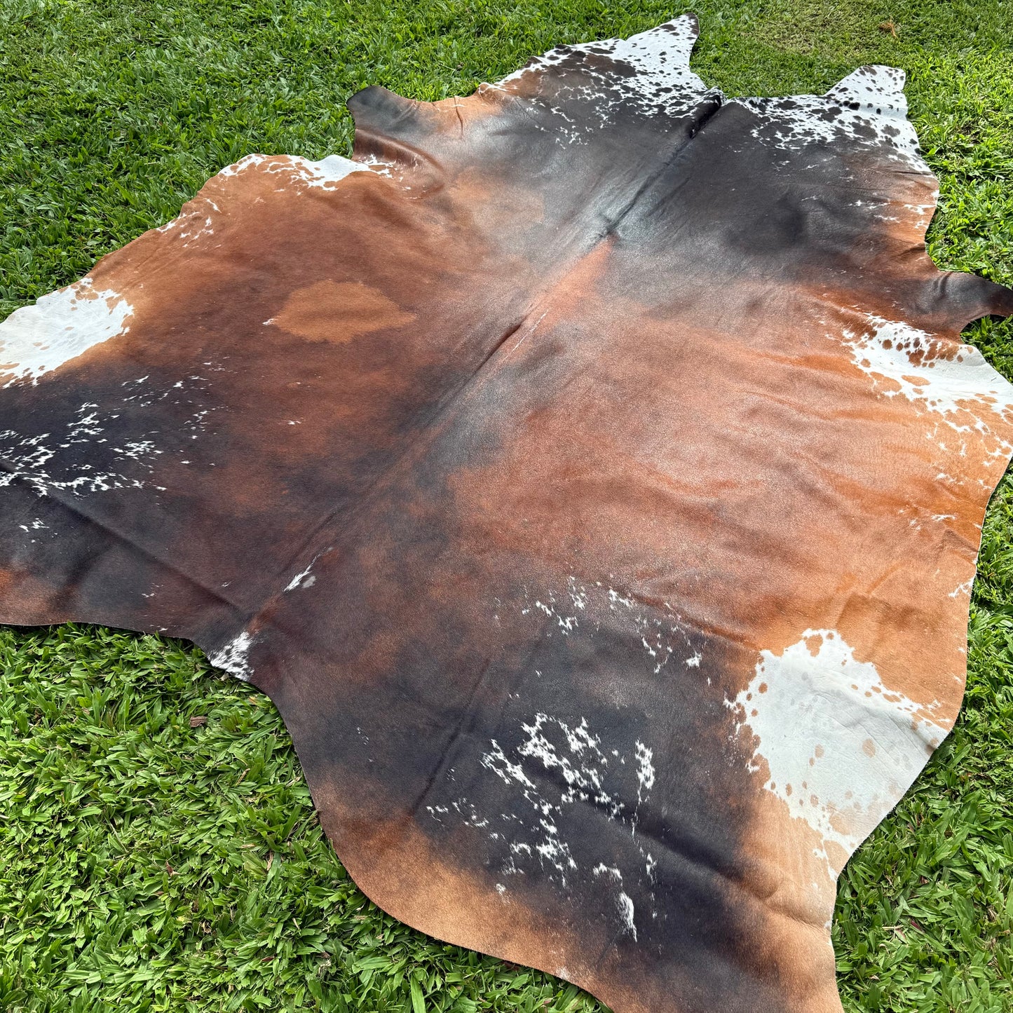 Large Premium Cowhide Rug 009