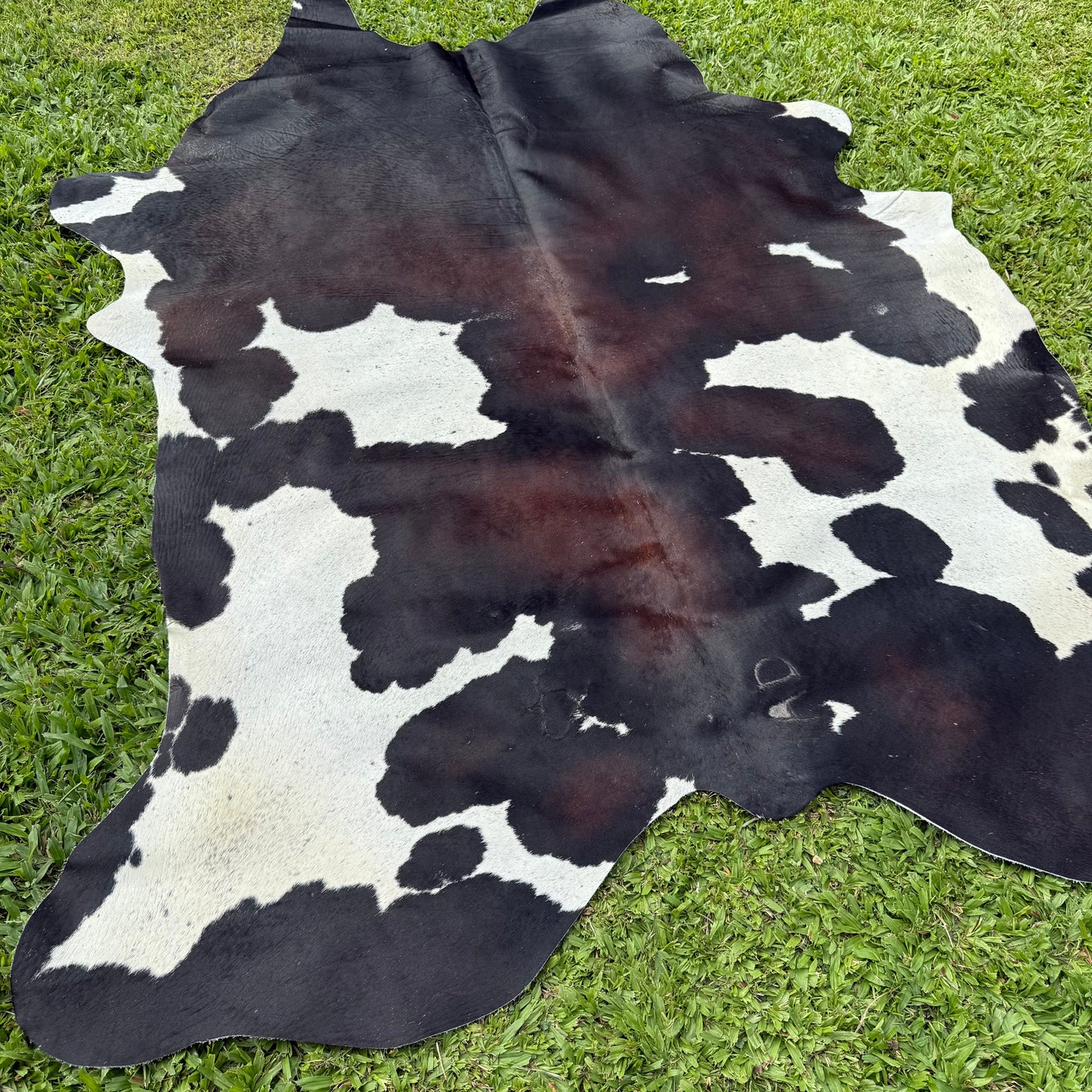 Large Premium Cowhide Rug 0011