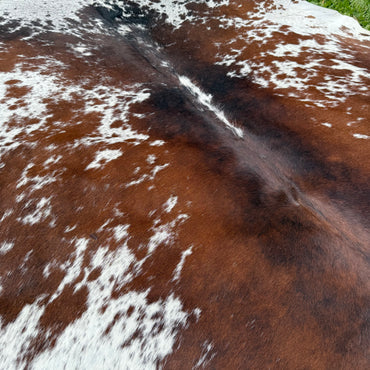 Large Premium Cowhide Rug 0019