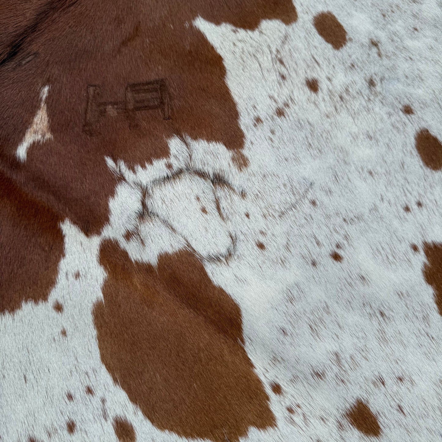 Large Premium Cowhide Rug 0020